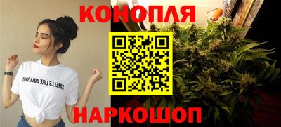 гидра Ярцево