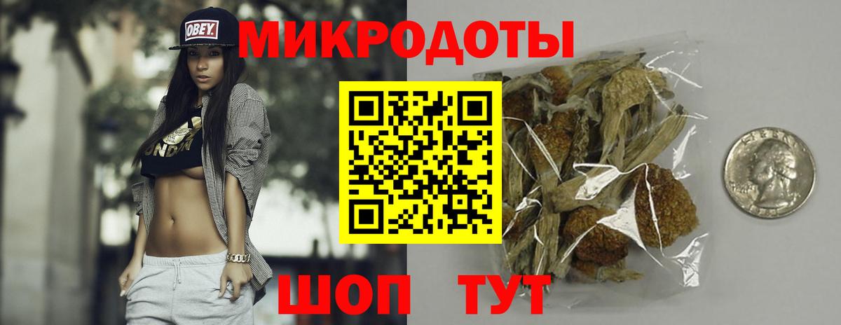 Псилоцибиновые грибы ЛСД Камышлов