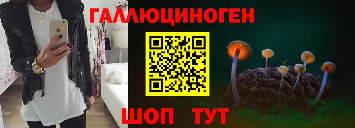 Камышлов  Псилоцибиновые грибы ЛСД  Вход с VPN  Псилоцибиновые грибы мицелий 