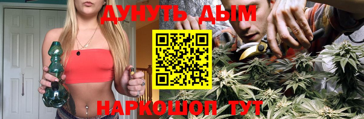 Камышлов  Бошки марихуана Amnesia  Вход с VPN  Конопля Ganja  Конопля планчик  МАРИХУАНА White Widow 